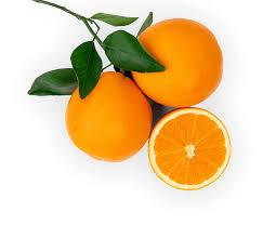 Early Navel Orange