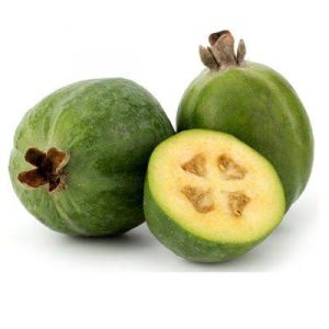 Pineapple Guava / Feijoa